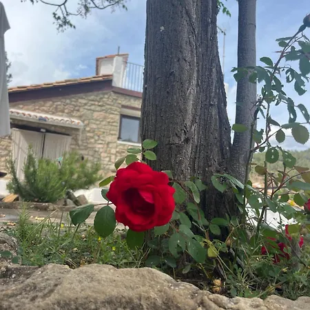 La Garcia * Puebla de Arenoso