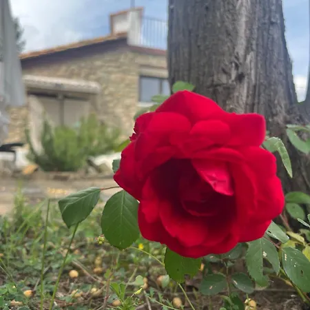 샬레 La Garcia Puebla de Arenoso